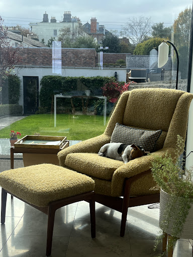 Photo from customer review