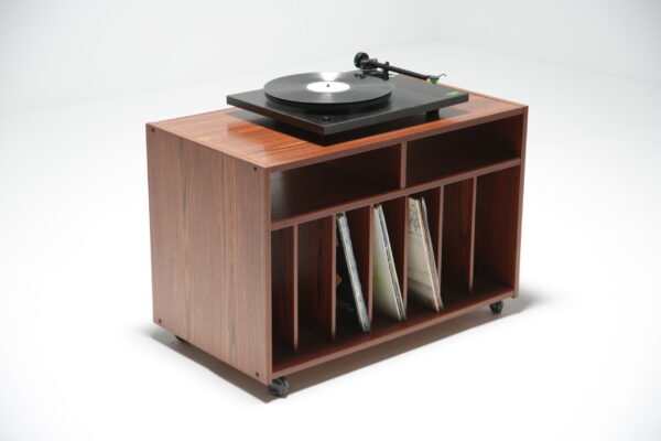 Vinyl record holder unit.