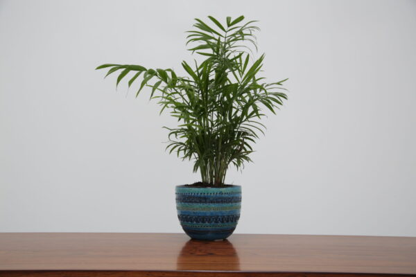 Vintage Blue Rimini Pattern Flower Pot by Aldo Londi for Bitossi, Italy, 1960s.